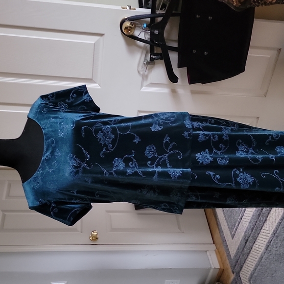 SL Fashions Dresses & Skirts - SL FASHIONS size16 teal velvet sparkle short sleeve  💖for lower price& shipping
